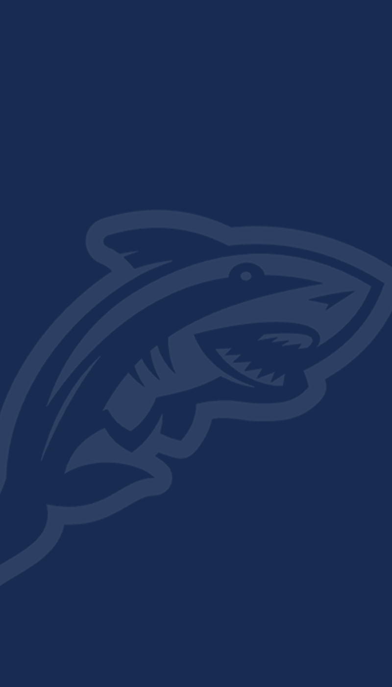 Shark Attack