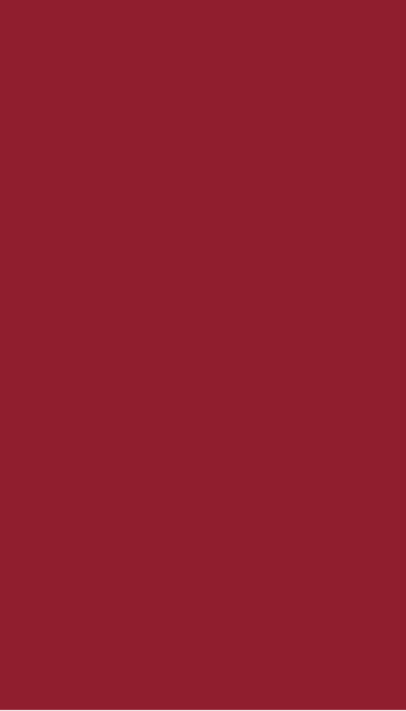 Solid red color swatch