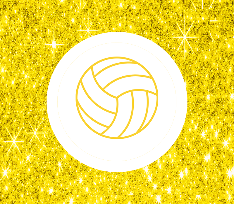 Volleyball Perfect Touch Tag- Sparkle