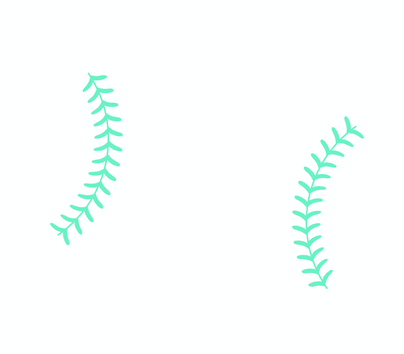 Softball Star Catcher Tag - Sparkle