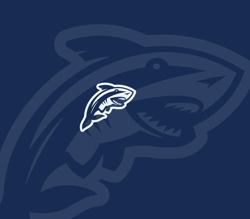 Shark Attack